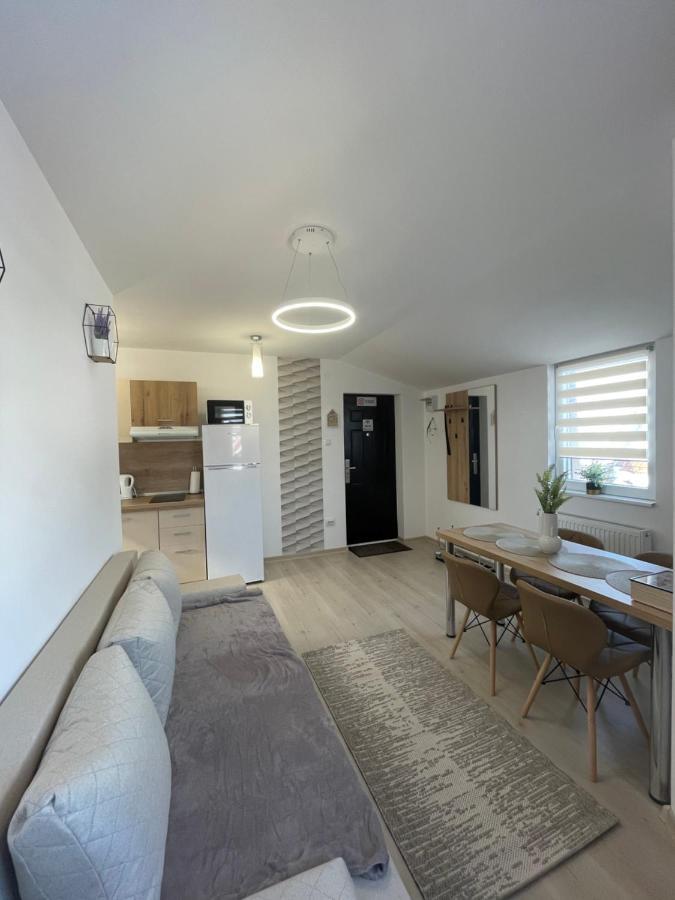 Jokai Apartments Nr9, Code Entry Sfântu-Gheorghe 外观 照片